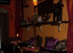 Zodiaco Lounge Bar di Piancastagnaio
